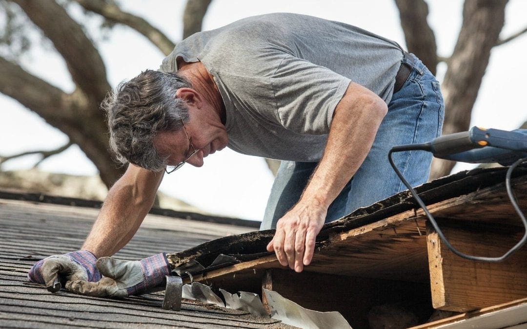 Your Guide to Roof Repair: A DIY Job or Time to Call in the Pros?