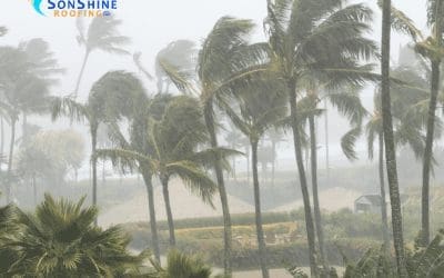 What You Need to Know About Roofing After a Hurricane