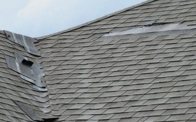 How to Assess Your Own Roof Damage Before Calling the Pros