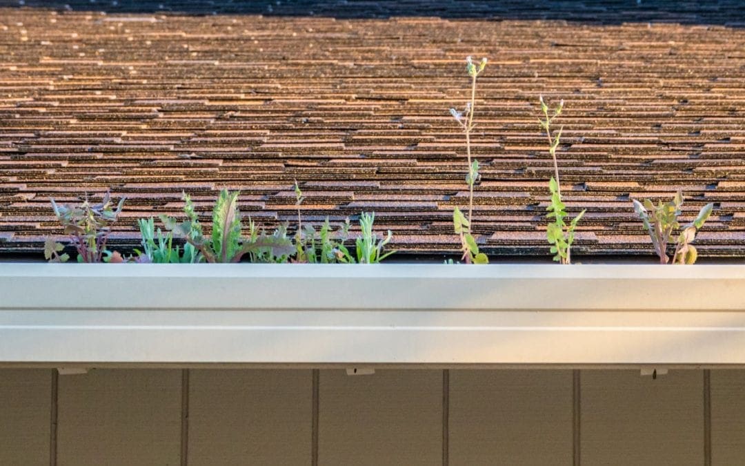 7 Ways Clogged Gutters can Damage Your Roof