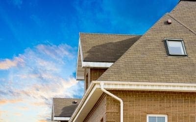 Why You Need a Roof Inspection