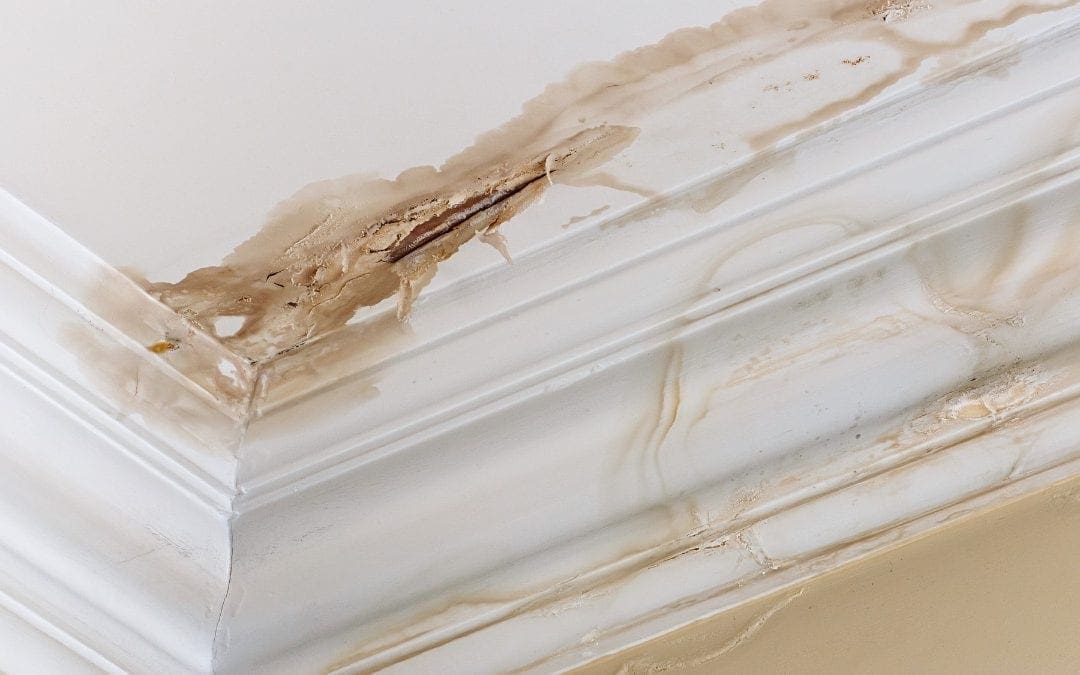 What Causes a Roof Leak? 5 Common Reasons for a Leaky Roof